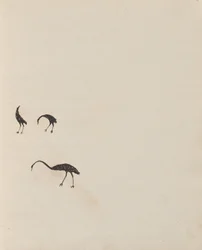 Kwat Kwat mennesker - (Fugle) Skitsebog hovedsageligt af aboriginals og hvides aktiviteter